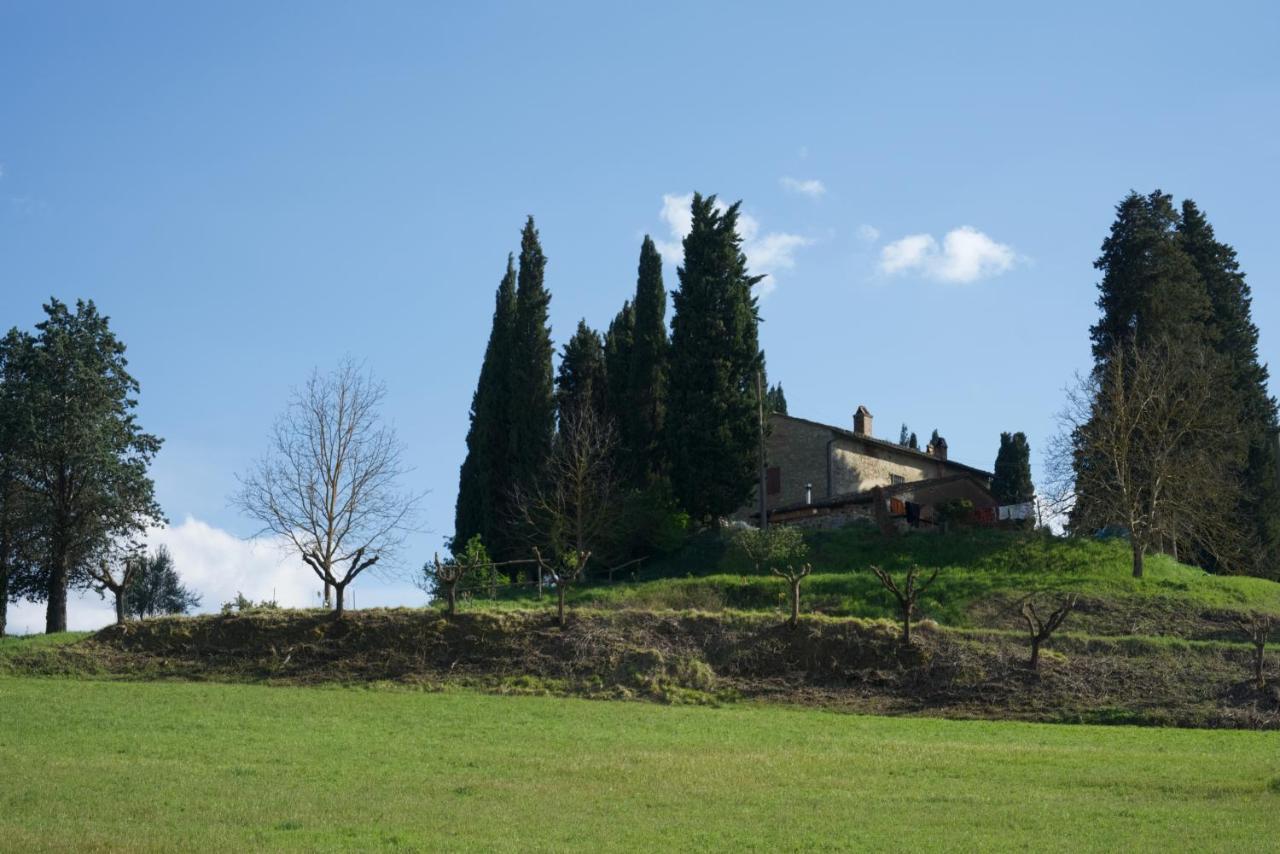 Agriturismo Il Caio Cetona Luaran gambar