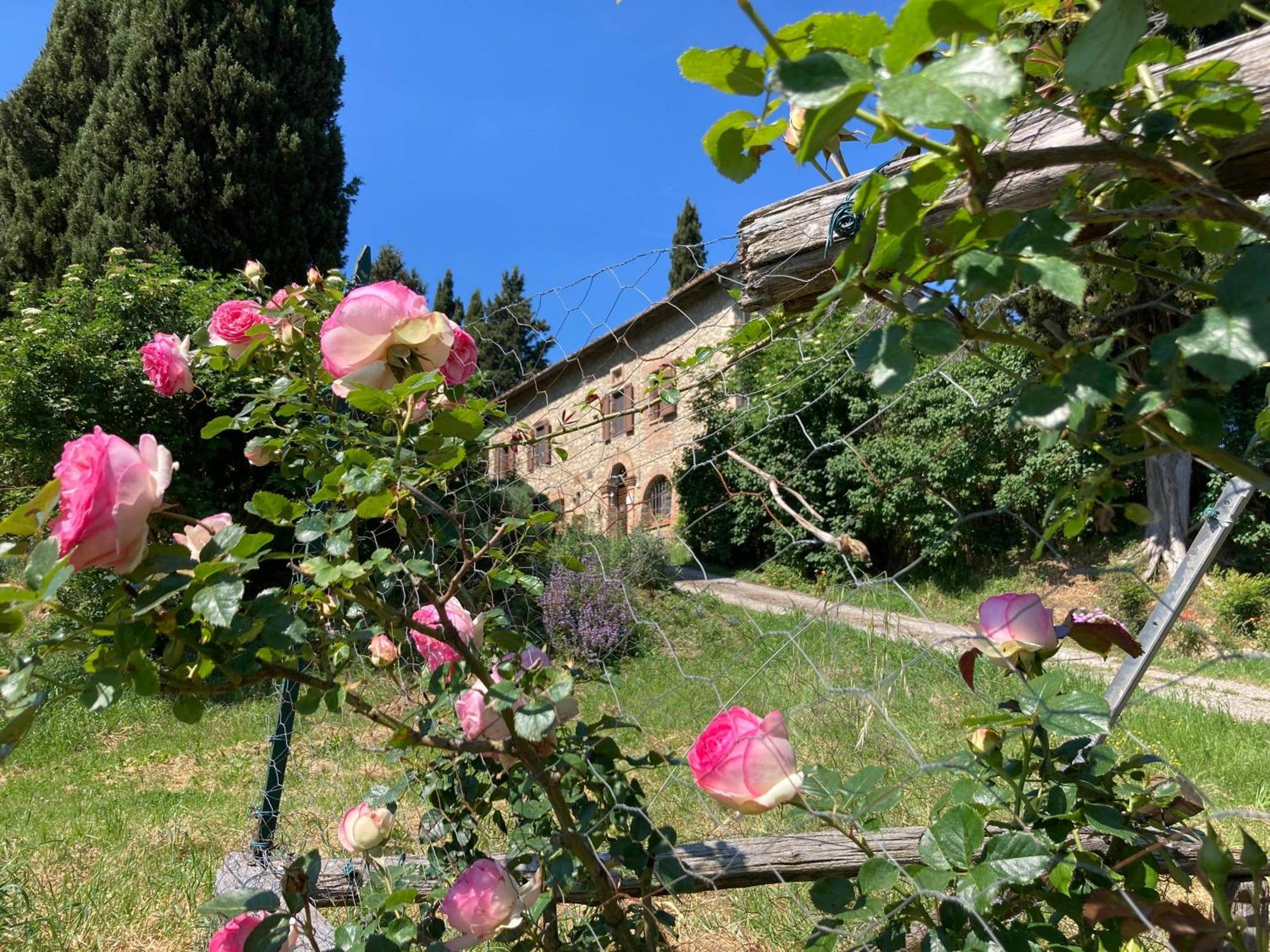 Agriturismo Il Caio Cetona Luaran gambar