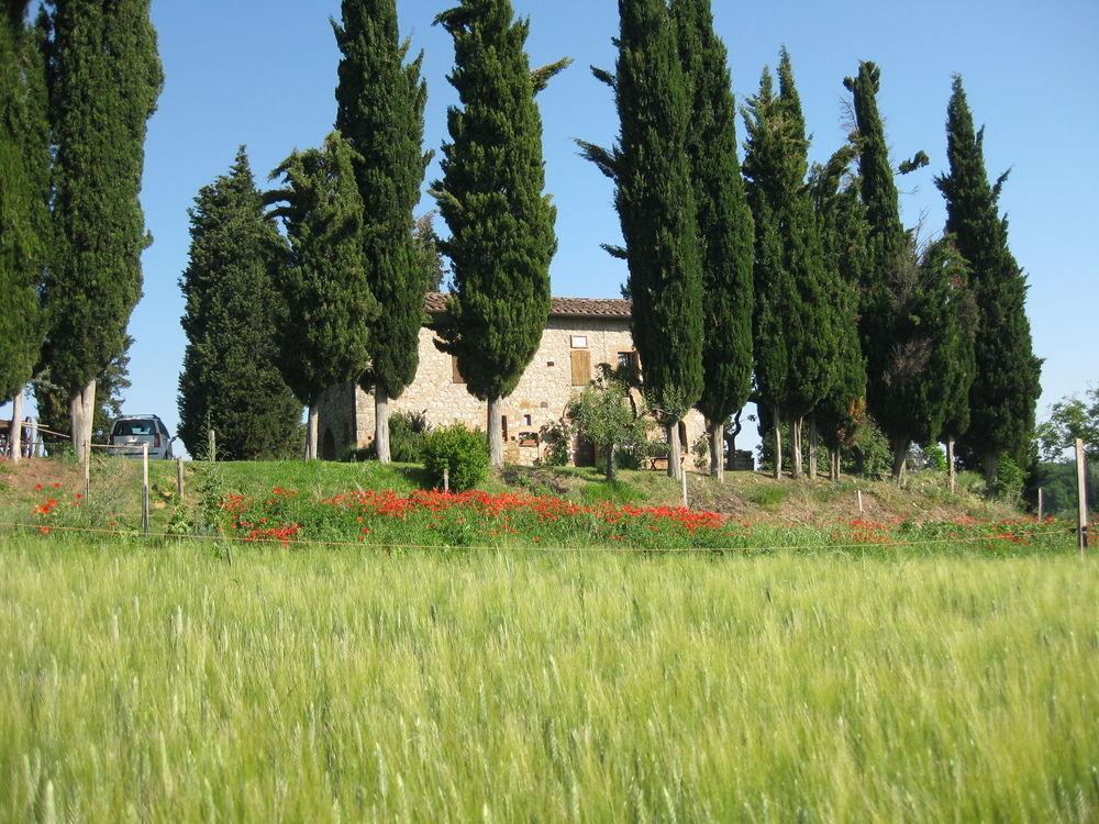 Agriturismo Il Caio Cetona Luaran gambar