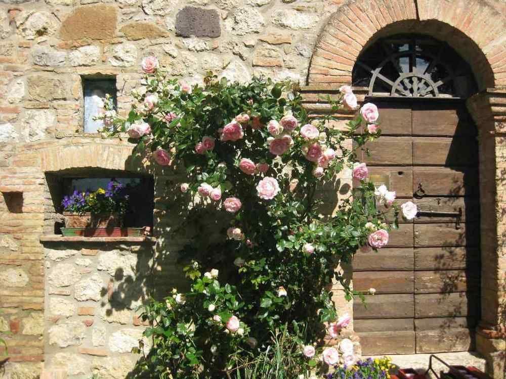 Agriturismo Il Caio Cetona Luaran gambar