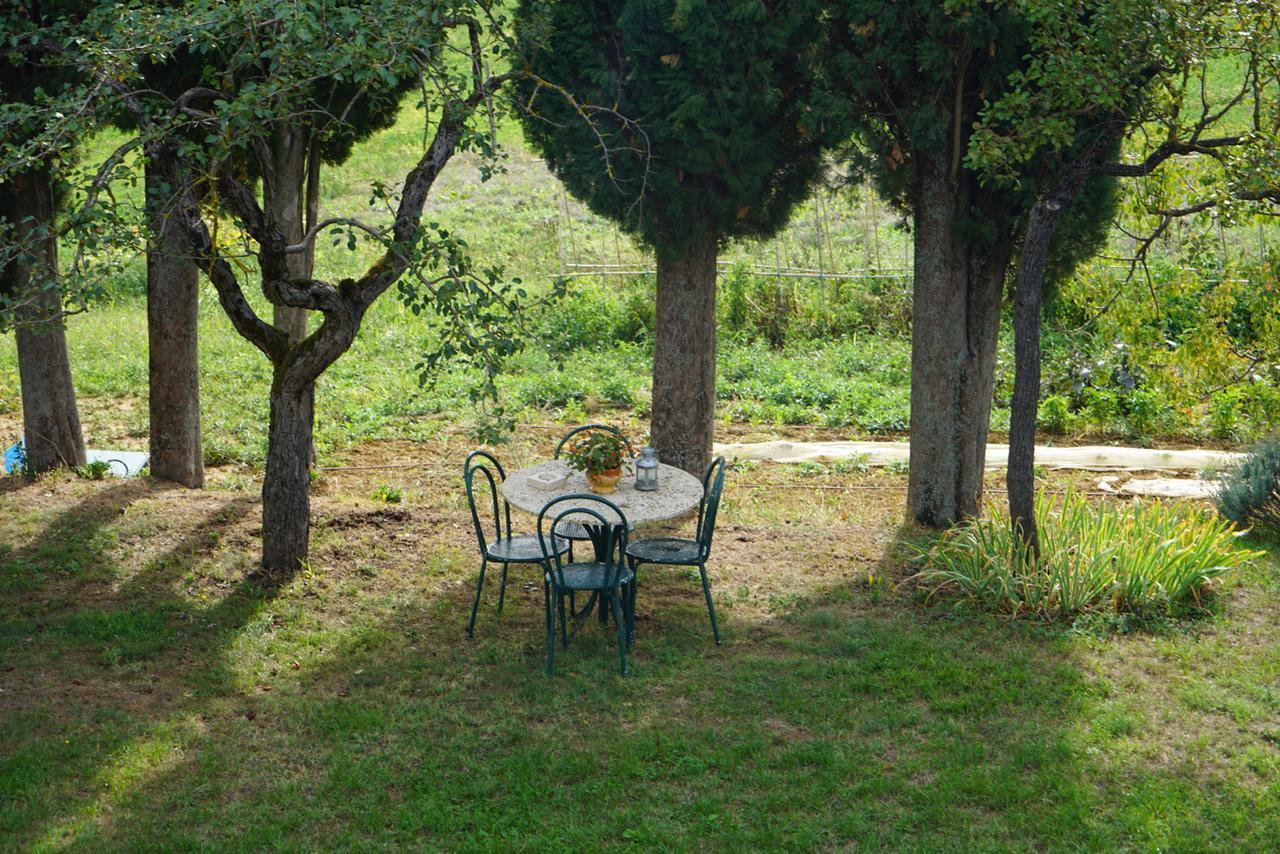 Agriturismo Il Caio Cetona Luaran gambar