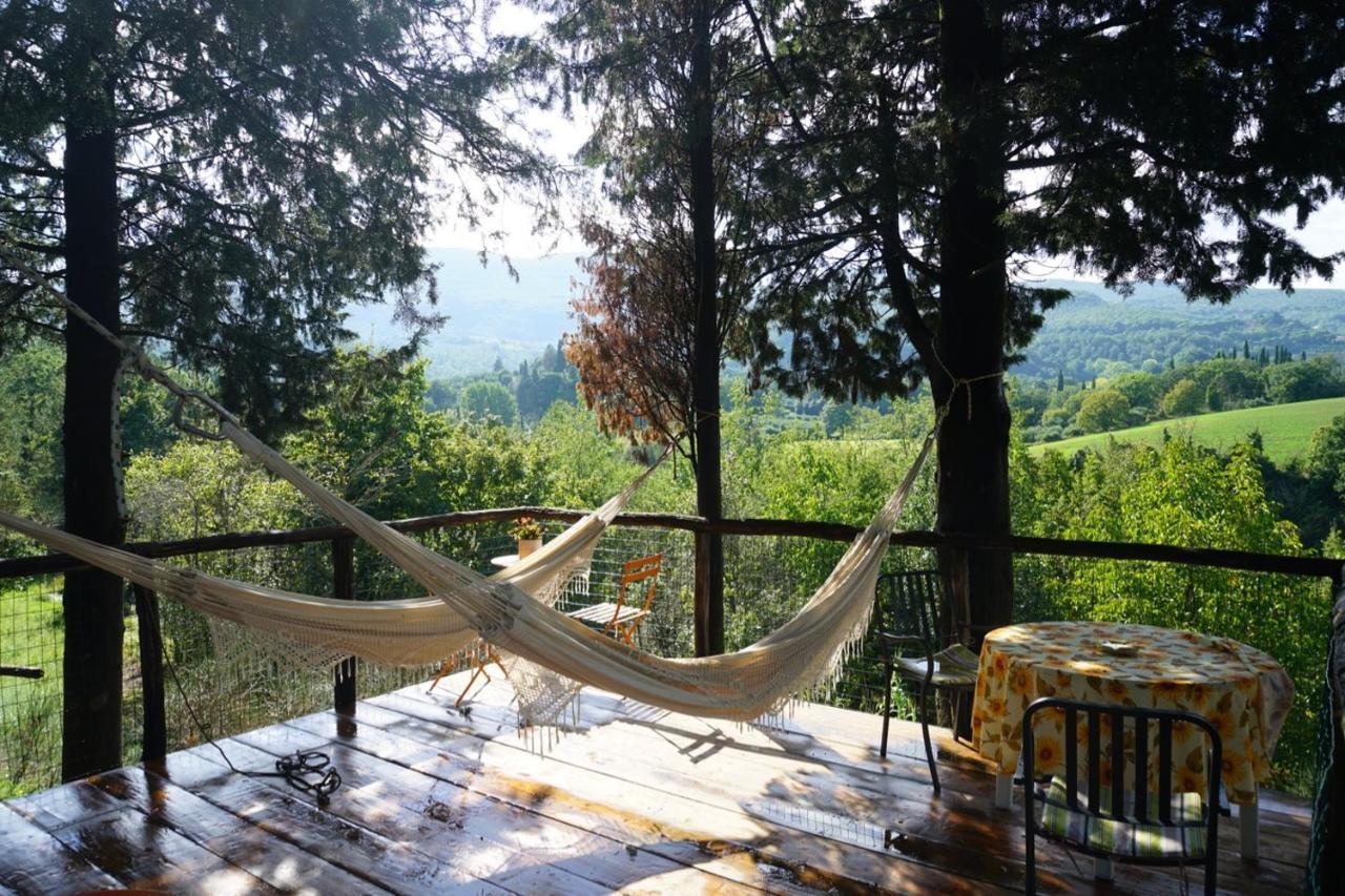 Agriturismo Il Caio Cetona Luaran gambar